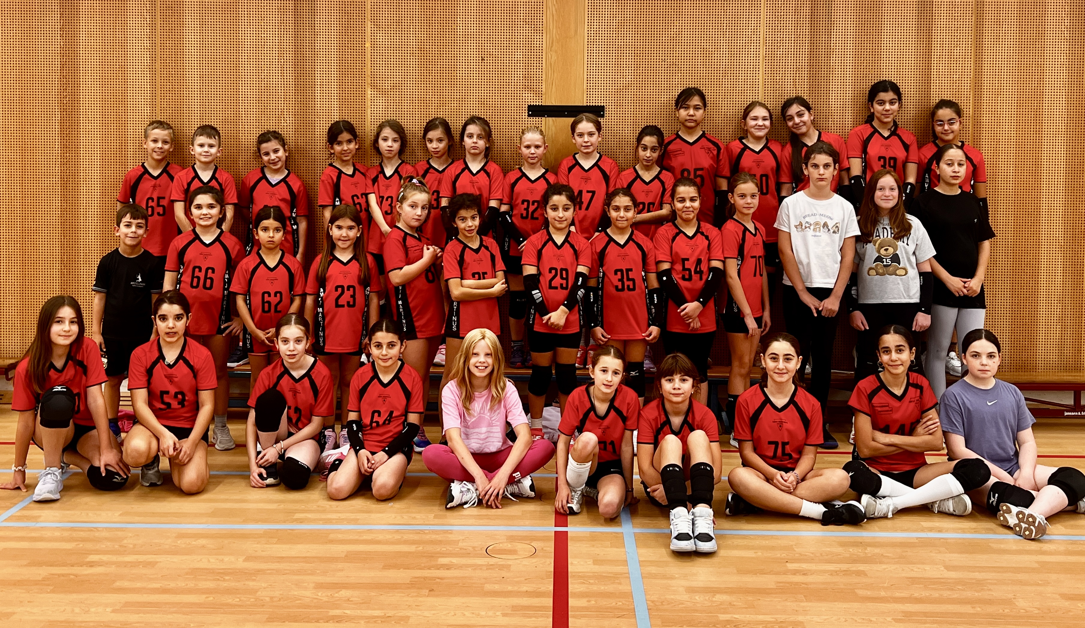 Mini's (gedeeltelijk) Image