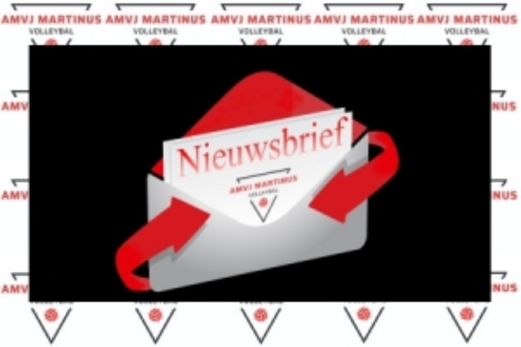 Nieuwsbrief AMVJ-Martinus Jaargang 12, Nr. 6